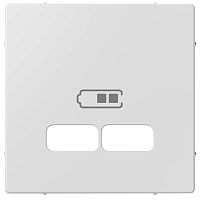 Лицевая панель Schneider Electric Merten System M для 2-м. розетки USB активно-белый картинка